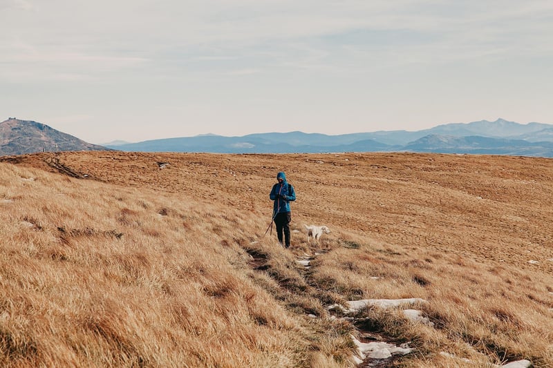 Outdoor Exploration